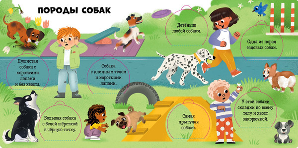 Изображение товара Развивающая книга CLEVER Книжка с окошками. Любимые животные твердая обложка