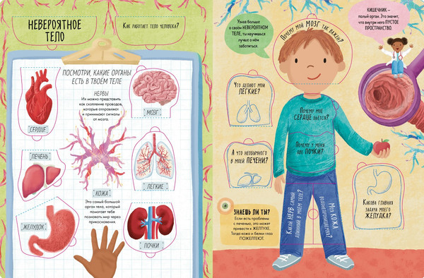 Изображение товара Энциклопедия CLEVER Книжка с окошками. Тело человека / 9785002117796 (Мосс Рейчел)