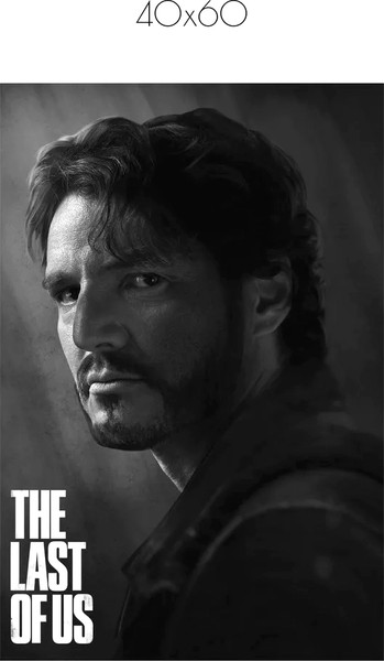 Изображение товара Постер Citydecor The Last Of Us 6 (40x60)