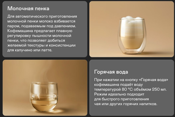 Изображение товара Кофемашина Garlyn L600