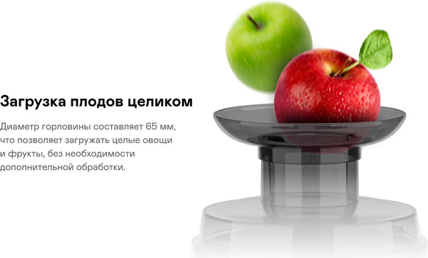 Изображение товара Соковыжималка электрическая Garlyn J-100