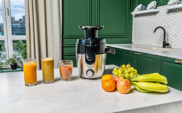 Изображение товара Соковыжималка электрическая Garlyn J-100