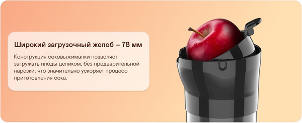 Изображение товара Соковыжималка электрическая Garlyn J-300