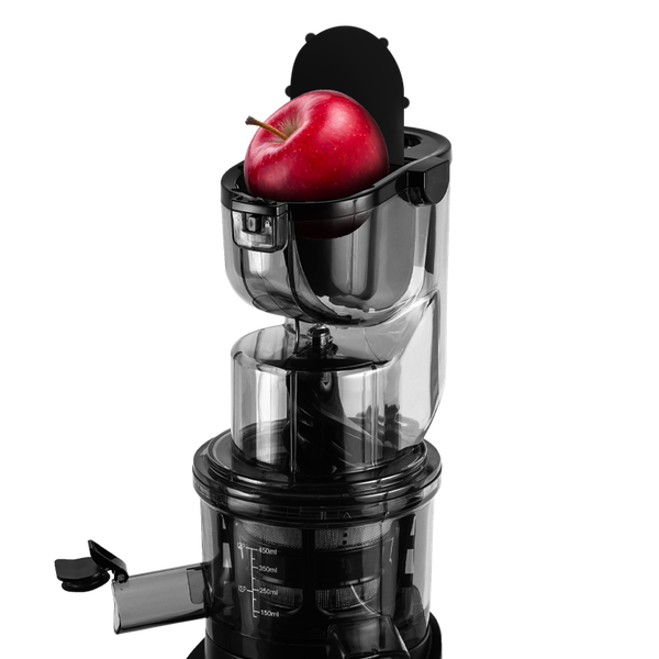 Изображение товара Соковыжималка электрическая Garlyn J-650