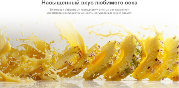 Изображение товара Соковыжималка электрическая Garlyn J-650