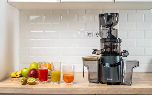 Изображение товара Соковыжималка электрическая Garlyn J-650