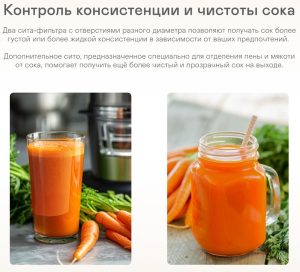 Изображение товара Соковыжималка электрическая Garlyn J-650