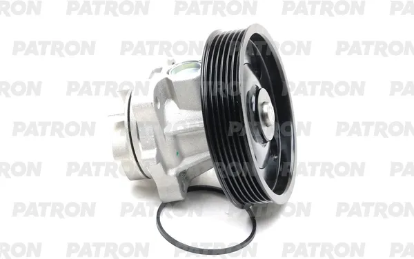 Изображение товара Помпа автомобильная Patron PWP1673