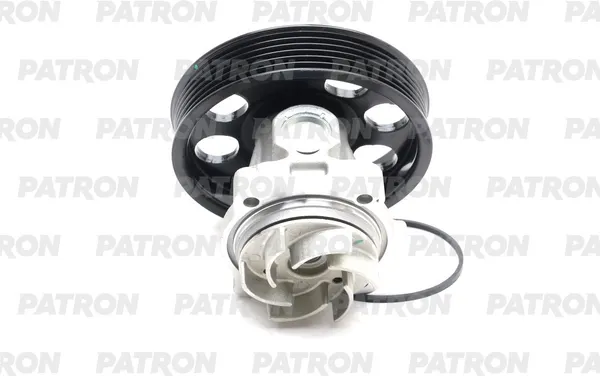 Изображение товара Помпа автомобильная Patron PWP1673