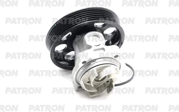 Изображение товара Помпа автомобильная Patron PWP1673