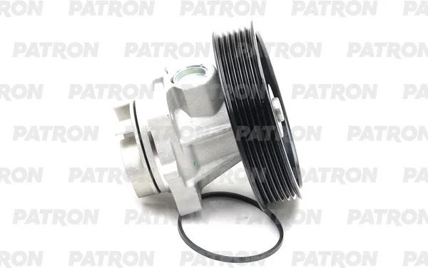 Изображение товара Помпа автомобильная Patron PWP1673