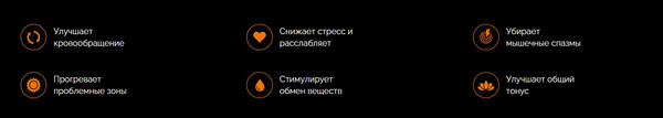 Изображение товара Массажная подушка Gess GESS-161 А