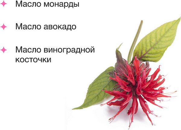 Изображение товара Масло для лица EpilProfi Универсальное с эфирным маслом монарды (30мл)