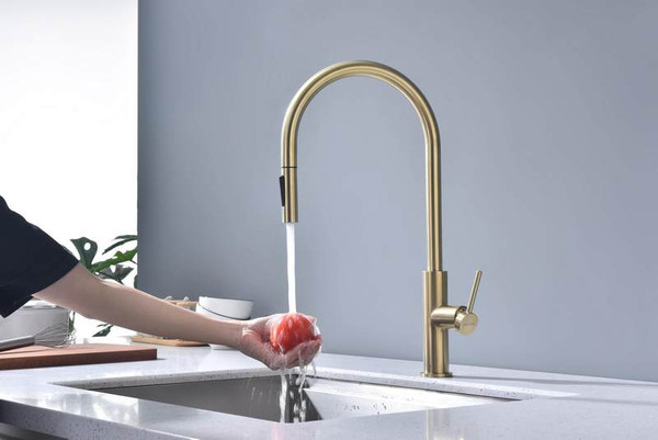 Изображение товара Смеситель Paulmark Se215180-SBG