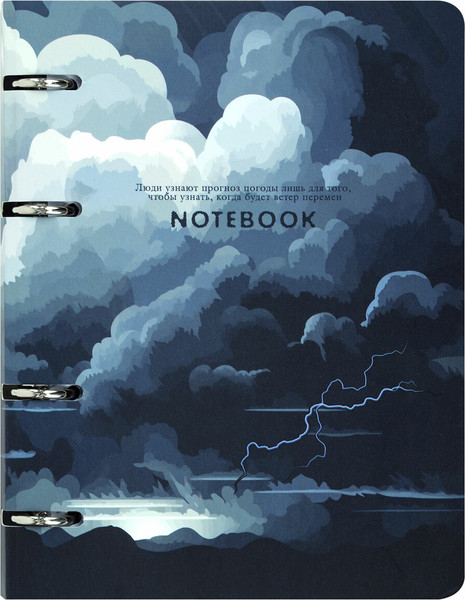 Изображение товара Тетрадь Brauberg 404726 (120л, клетка)