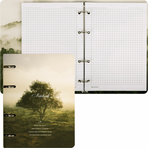 Изображение товара Тетрадь Brauberg 404728 (120л, клетка)