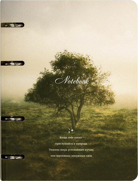 Изображение товара Тетрадь Brauberg 404728 (120л, клетка)