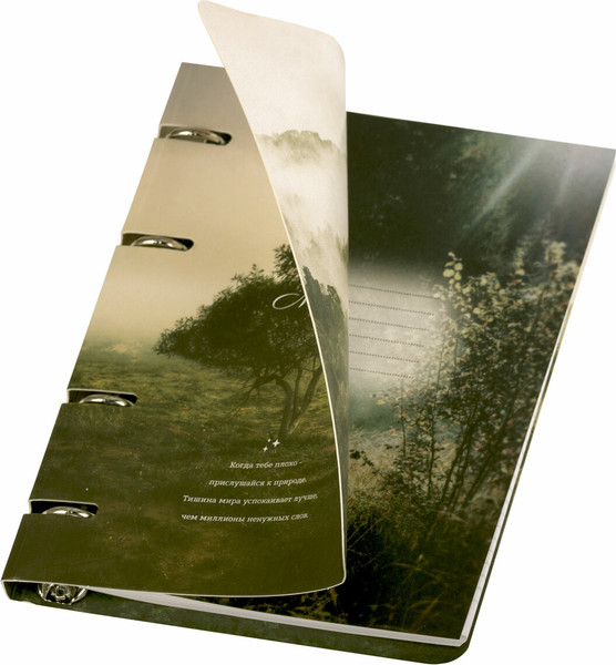 Изображение товара Тетрадь Brauberg 404728 (120л, клетка)