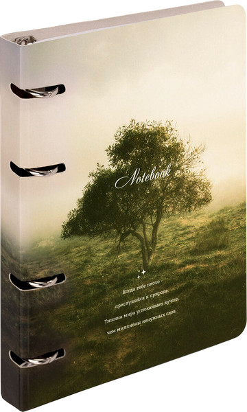 Изображение товара Тетрадь Brauberg 404728 (120л, клетка)