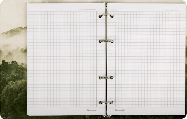 Изображение товара Тетрадь Brauberg 404728 (120л, клетка)