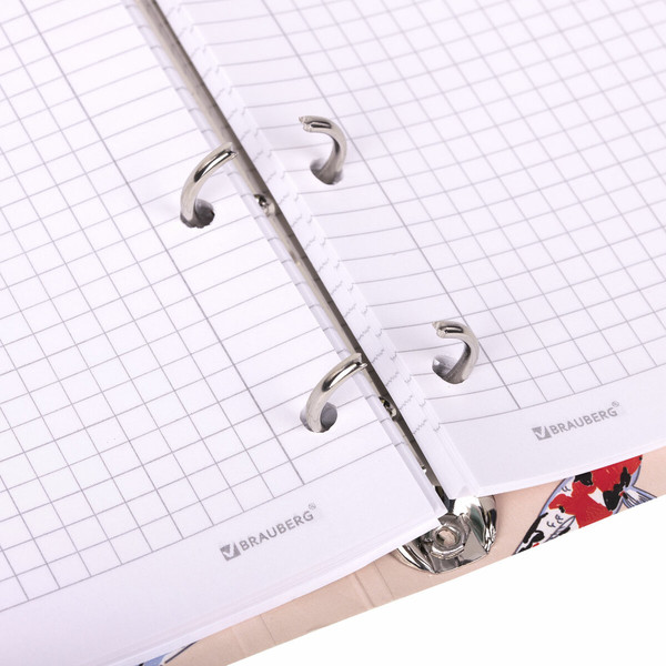 Изображение товара Тетрадь Brauberg 404730 (120л, клетка)