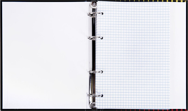 Изображение товара Тетрадь Brauberg Anime Girl / 404711 (120л)