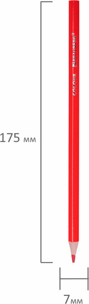 Изображение товара Набор цветных карандашей Brauberg Kids New / 182003 (36цв)