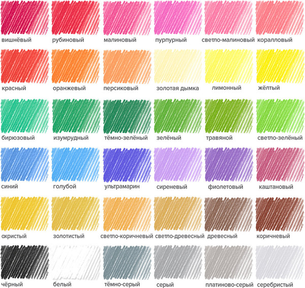 Изображение товара Набор цветных карандашей Brauberg Kids New / 182003 (36цв)