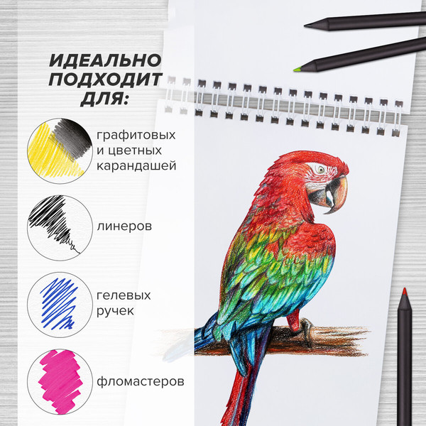 Изображение товара Скетчбук Brauberg Art Debut. Котик! / 115062 (60л)