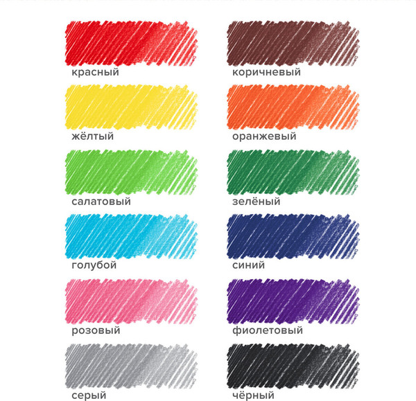 Изображение товара Набор цветных карандашей Brauberg Академия / 181864 (12цв)