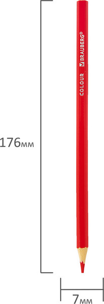 Изображение товара Набор цветных карандашей Brauberg Академия / 181864 (12цв)