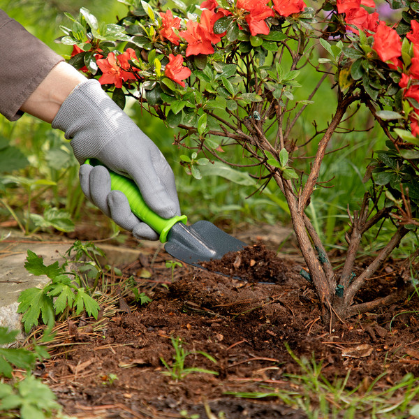 Изображение товара Совок садовый Palisad Standard Посадочный 62652