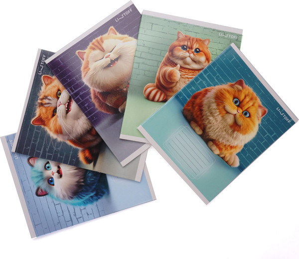 Изображение товара Тетрадь Listoff Осторожно, кот! / ТЛ249263 (24л)