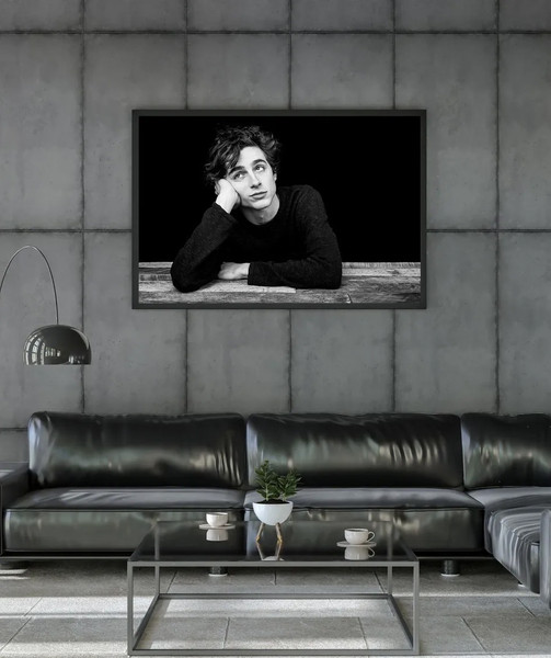 Изображение товара Постер Citydecor Timothee Chalamet 1 (40x60)