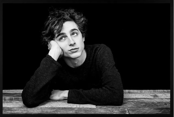 Изображение товара Постер Citydecor Timothee Chalamet 1 (40x60)