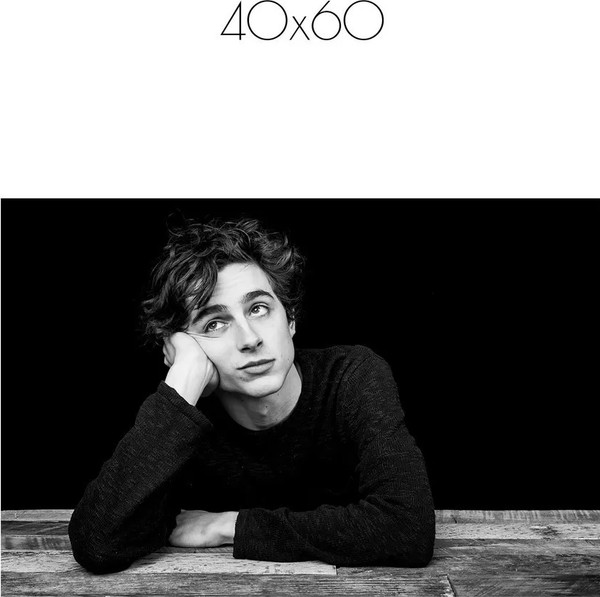 Изображение товара Постер Citydecor Timothee Chalamet 1 (40x60)
