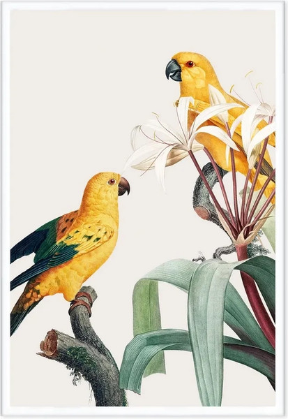 Изображение товара Постер Citydecor Попугайчики 1 (40x60)