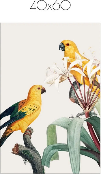 Изображение товара Постер Citydecor Попугайчики 1 (40x60)