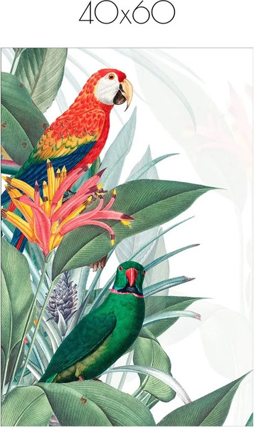 Изображение товара Постер Citydecor Попугайчики 8 (40x60)