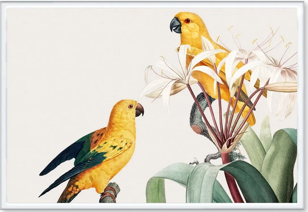 Изображение товара Постер Citydecor Попугайчики 9 (40x60)