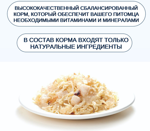 Изображение товара Влажный корм для кошек Wanpy Cat Курица с гребешками (95г)