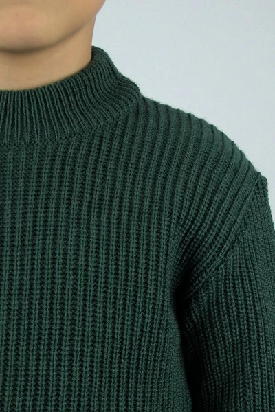 Изображение товара Джемпер детский Polesie 2С8743-Д43 (р.152-72, мох)