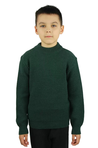 Изображение товара Джемпер детский Polesie 2С8743-Д43 (р.152-72, мох)