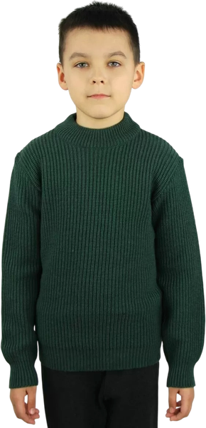 Изображение товара Джемпер детский Polesie 2С8744-Д43 (р.170,176-88, мох)