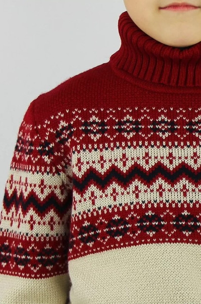 Изображение товара Свитер детский Polesie 2С8760-Д43 (р.122,128-64, гермес)