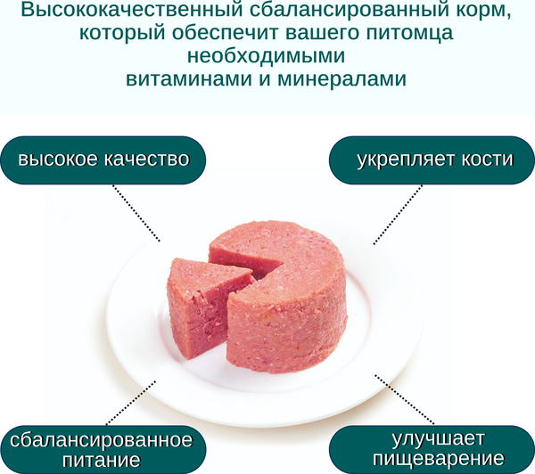 Изображение товара Влажный корм для собак Wanpy Dog ягненок (375г)