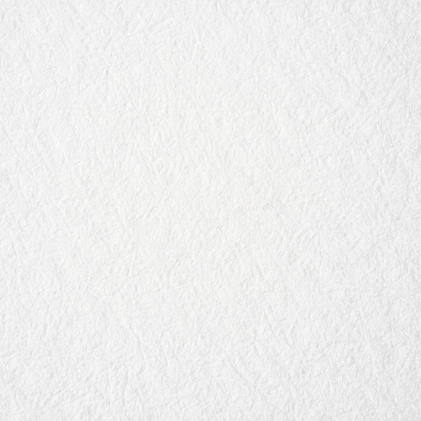 Изображение товара Набор бумаги для рисования Малевичъ Monet. Fin / 401551 (10л)