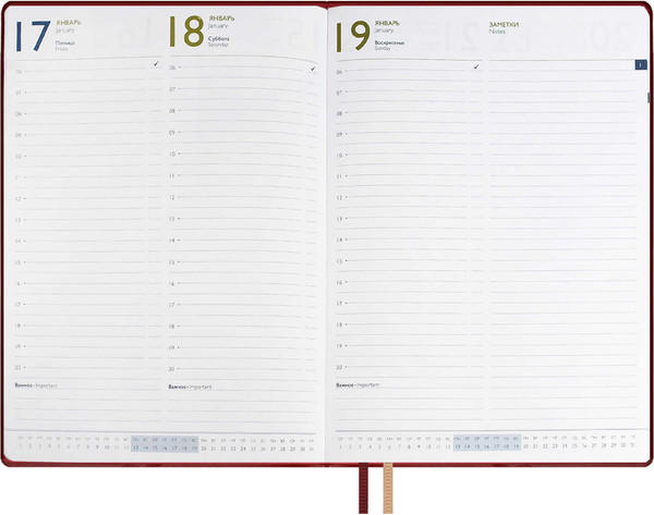 Изображение товара Ежедневник Escalada Шеврет Глосс 2025 / 66938 (120л, бордовый)