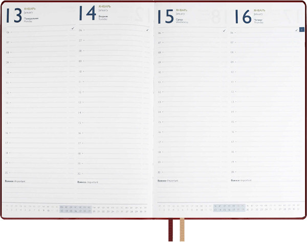Изображение товара Ежедневник Escalada Шеврет Глосс 2025 / 66938 (120л, бордовый)