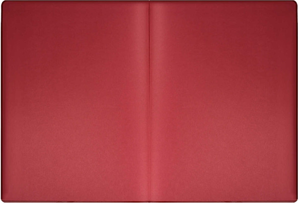 Изображение товара Ежедневник Escalada Шеврет Глосс 2025 / 66938 (120л, бордовый)